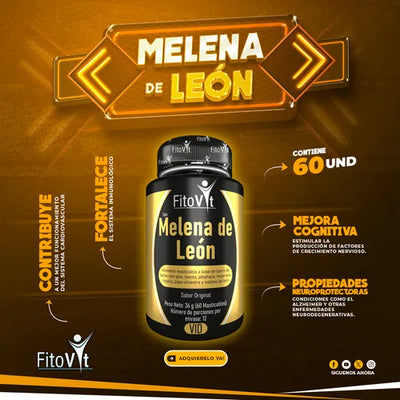 MELENA DE LEON X60 UND FITOVIT
